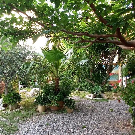Casa con jardín frente Playa de Burriana Vila Quarto foto