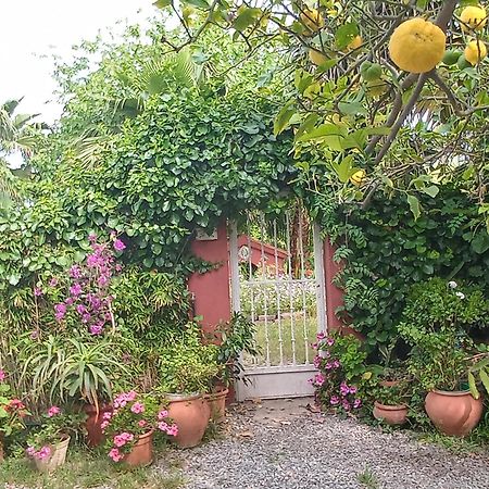 Casa con jardín frente Playa de Burriana Vila Quarto foto