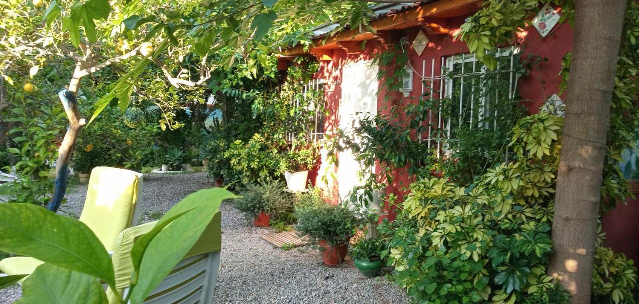 Casa con jardín frente Playa de Burriana Vila Exterior foto