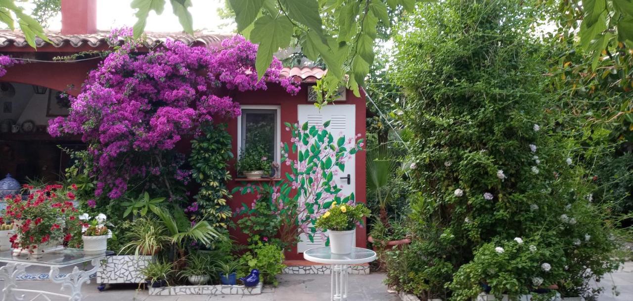 Casa con jardín frente Playa de Burriana Vila Exterior foto