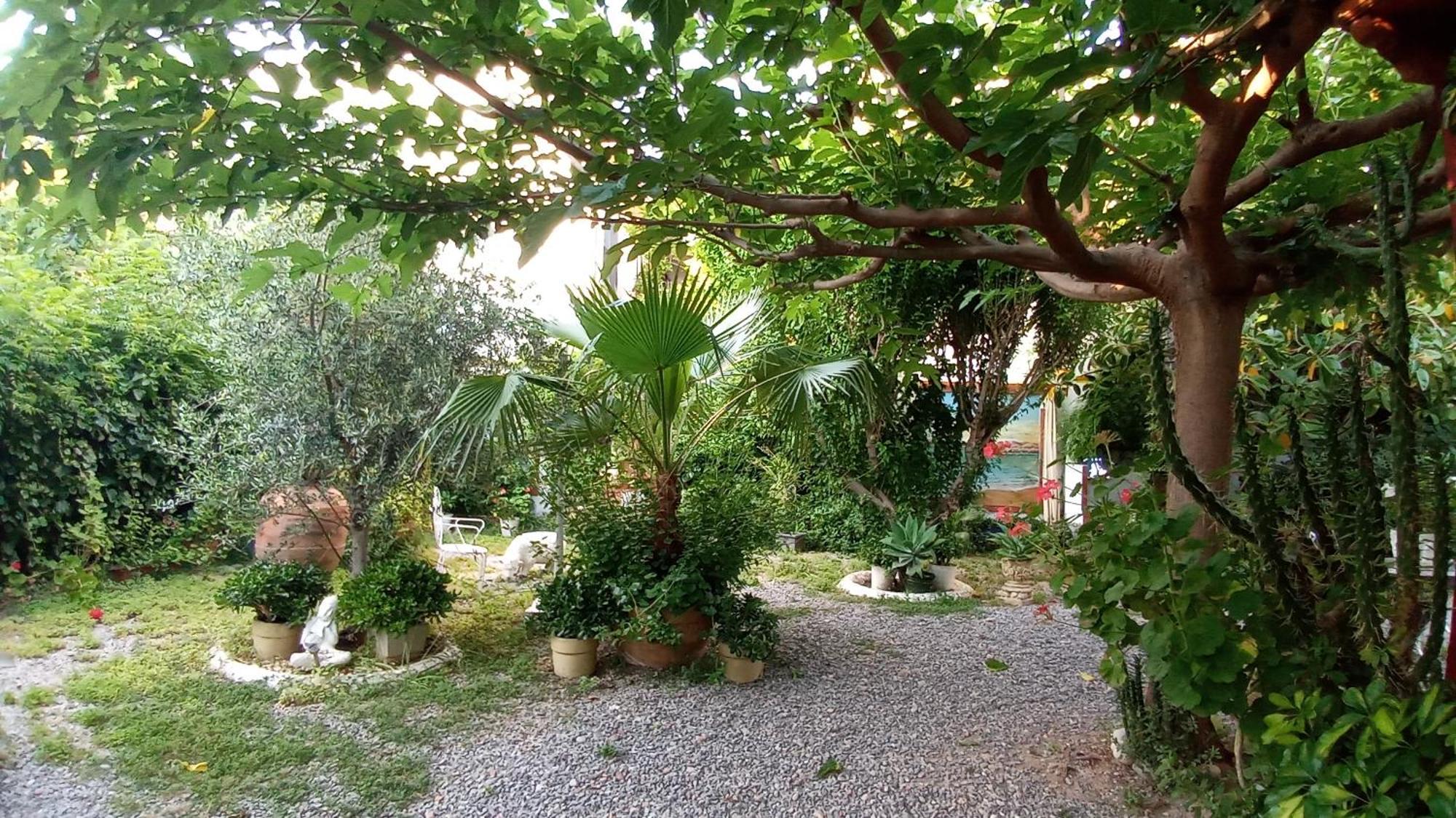 Casa con jardín frente Playa de Burriana Vila Quarto foto