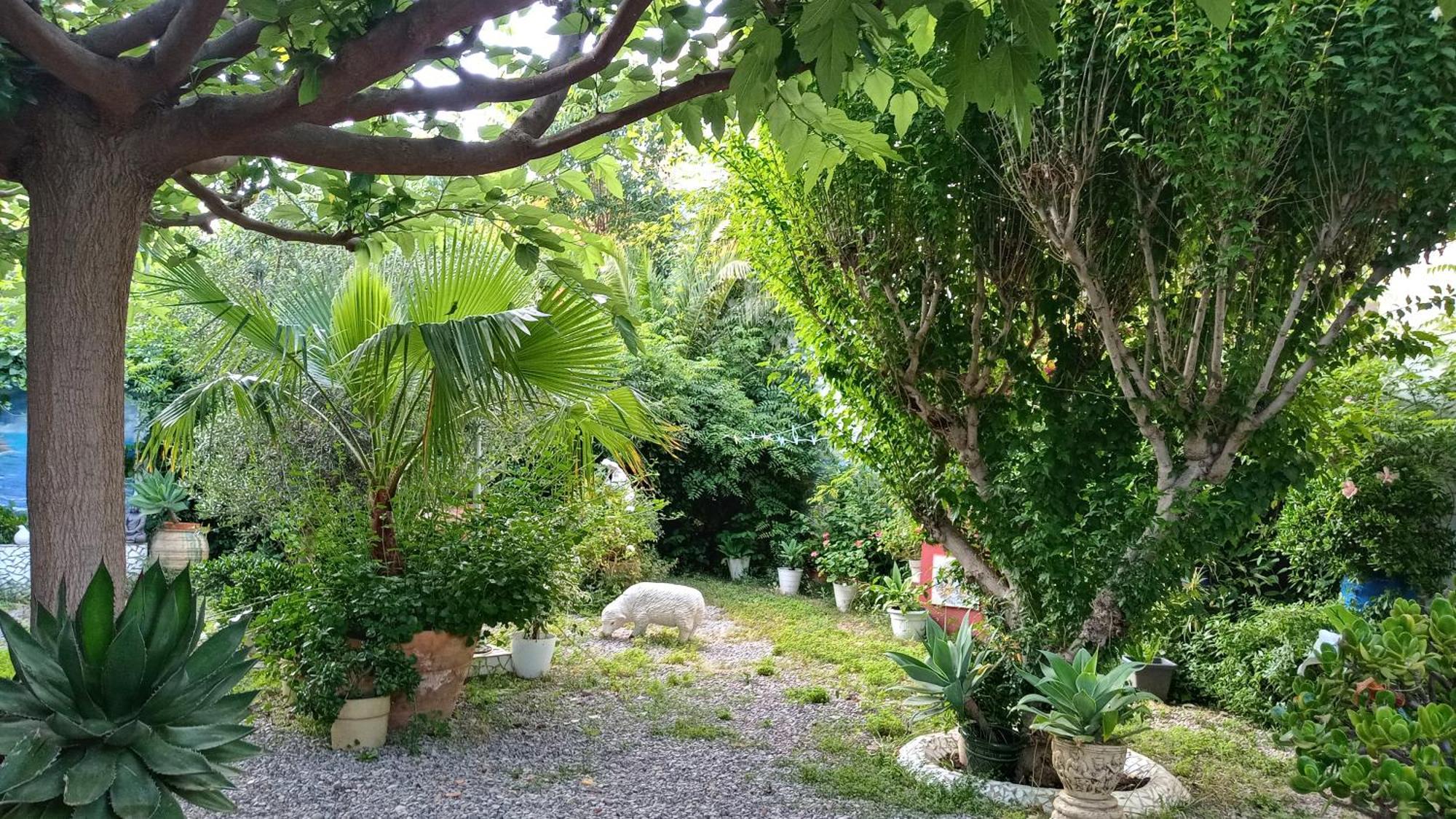 Casa con jardín frente Playa de Burriana Vila Quarto foto
