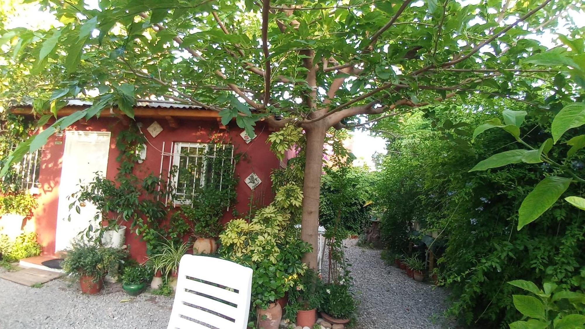 Casa con jardín frente Playa de Burriana Vila Quarto foto