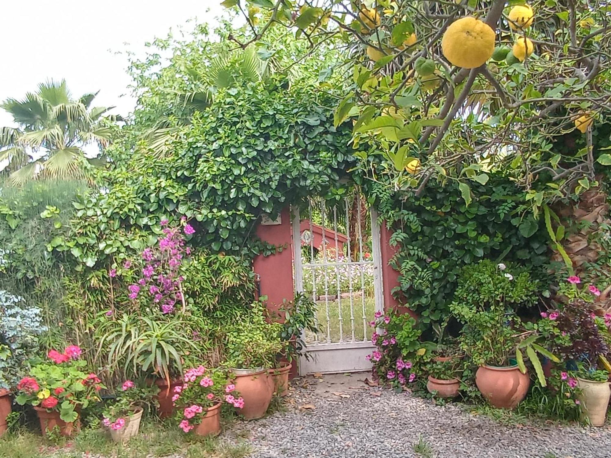 Casa con jardín frente Playa de Burriana Vila Quarto foto