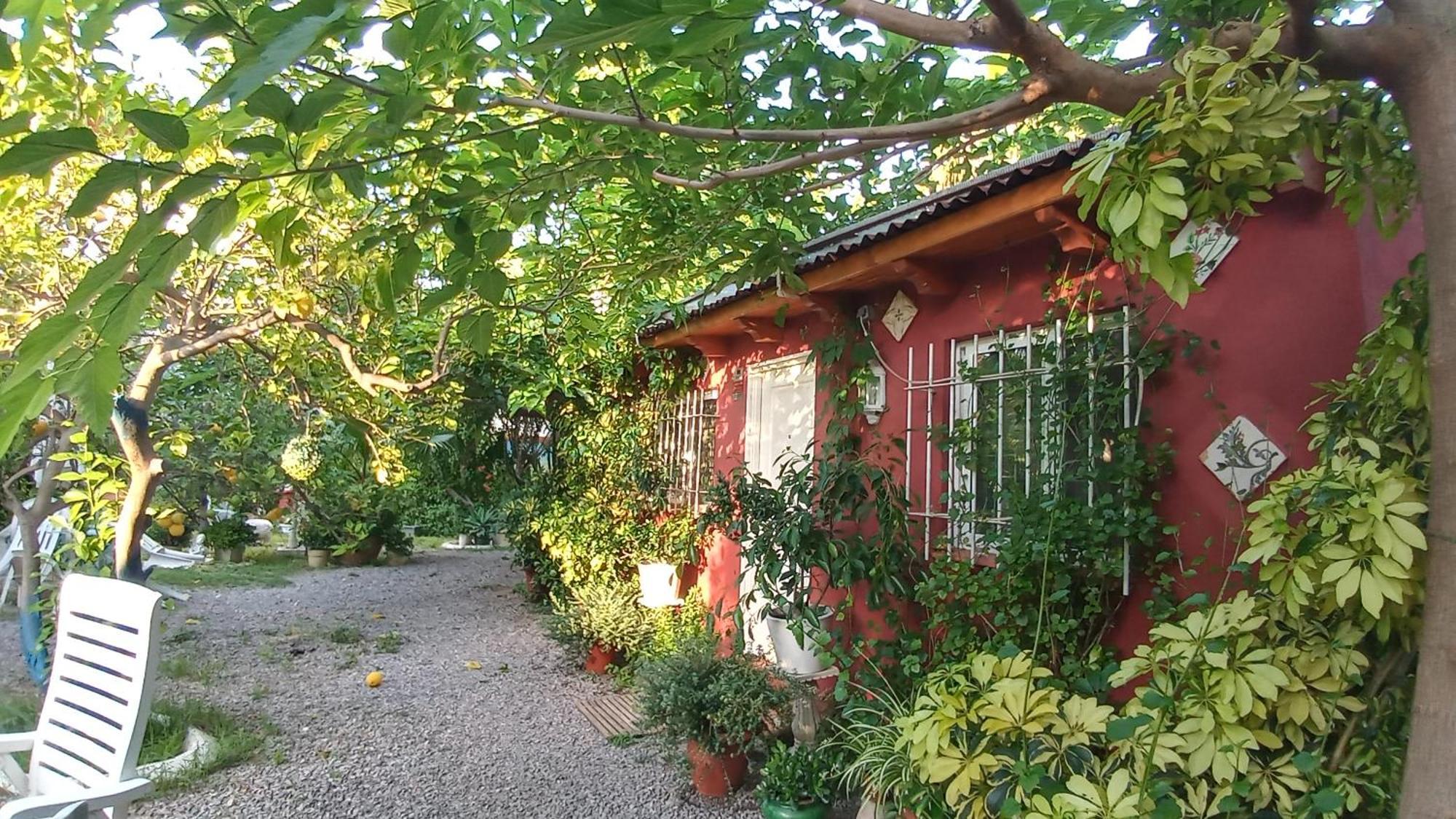 Casa con jardín frente Playa de Burriana Vila Quarto foto