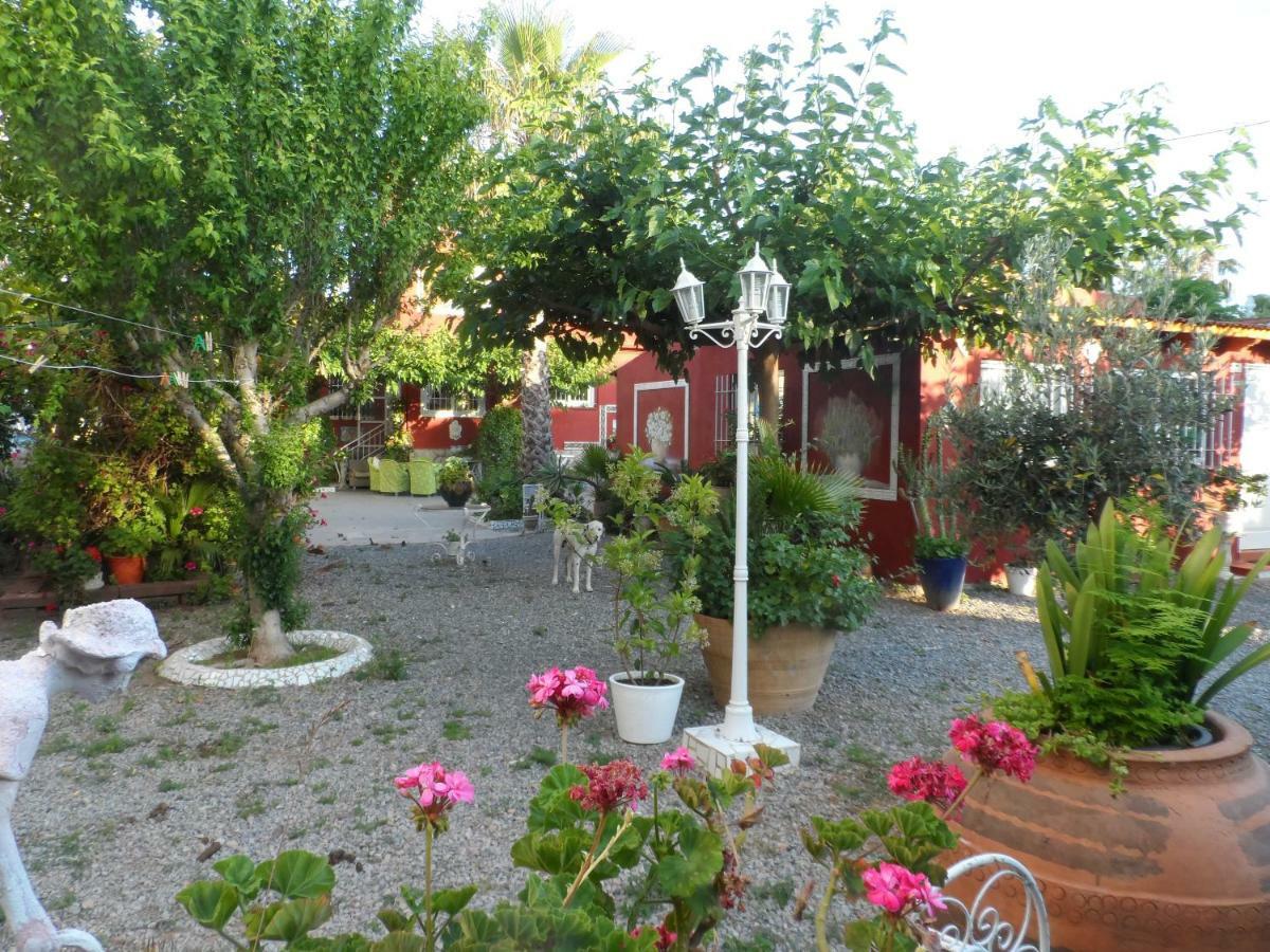 Casa con jardín frente Playa de Burriana Vila Exterior foto